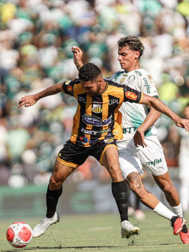 Actuaciones: Gremio Novorizontino x Palmeiras – consultar notas del jugador
