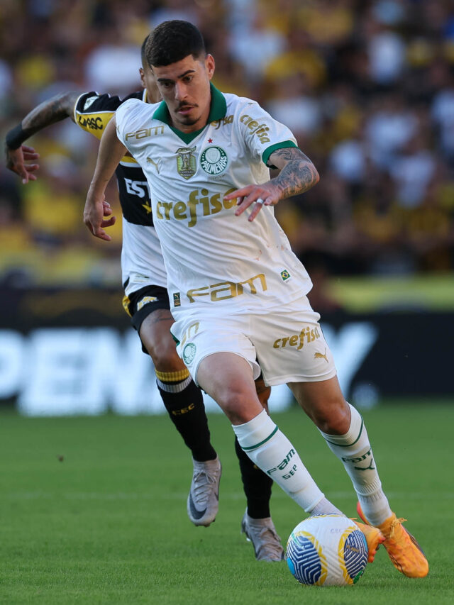 Atuações: Criciúma x Palmeiras – confira notas dos jogadores